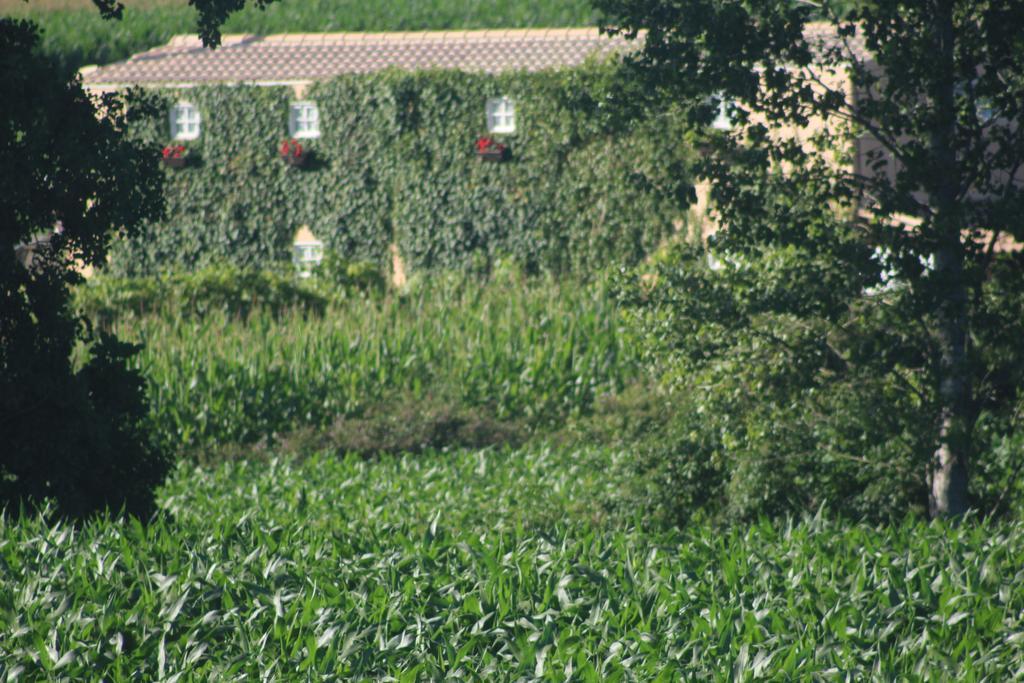 Gasthaus Casa Do Moinho Ovar Exterior foto